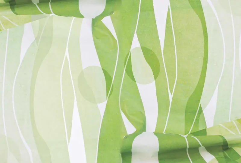 Algaemy projeto das designers Essi Johanna Glomb e Rasa Weber