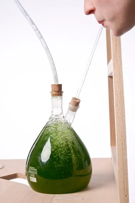Algaemy projeto das designers Essi Johanna Glomb e Rasa Weber (4)